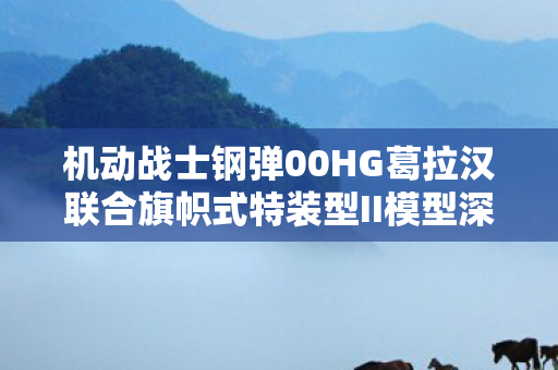 机动战士钢弹00HG葛拉汉联合旗帜式特装型II模型深度解析