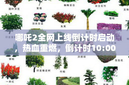 哪吒2全网上线倒计时启动，热血重燃，倒计时10:00登陆各大平台！