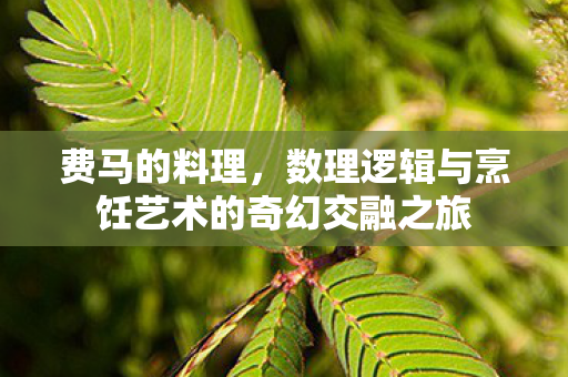 费马的料理，数理逻辑与烹饪艺术的奇幻交融之旅