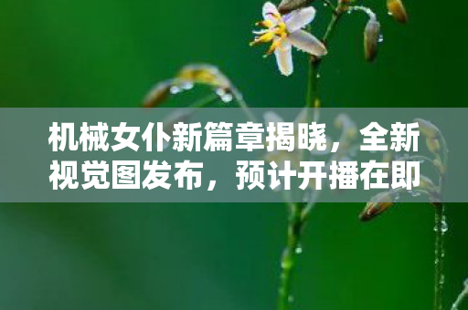 机械女仆新篇章揭晓，全新视觉图发布，预计开播在即