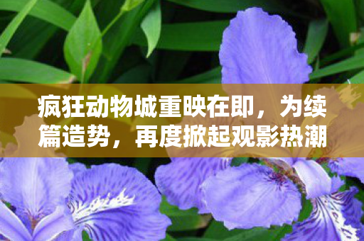 疯狂动物城重映在即，为续篇造势，再度掀起观影热潮