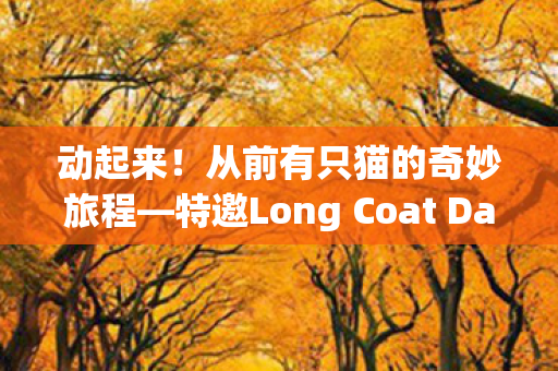 动起来！从前有只猫的奇妙旅程—特邀Long Coat Daddy献声