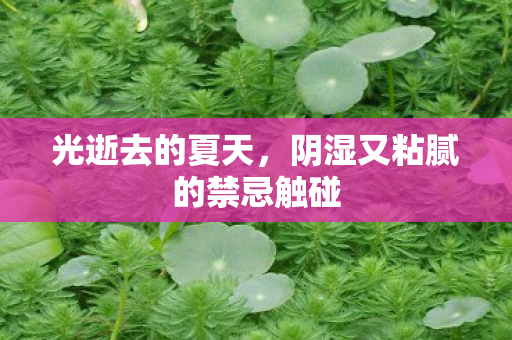 光逝去的夏天，阴湿又粘腻的禁忌触碰