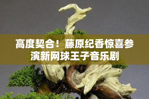 高度契合！藤原纪香惊喜参演新网球王子音乐剧