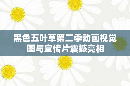 黑色五叶草第二季动画视觉图与宣传片震撼亮相