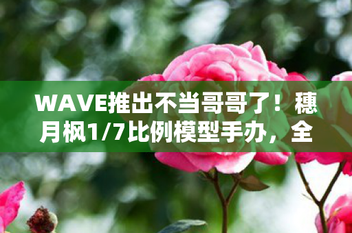 WAVE推出不当哥哥了！穗月枫1/7比例模型手办，全新收藏品震撼登场