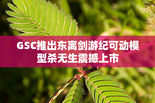GSC推出东离剑游纪可动模型杀无生震撼上市
