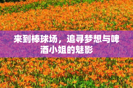 来到棒球场，追寻梦想与啤酒小姐的魅影