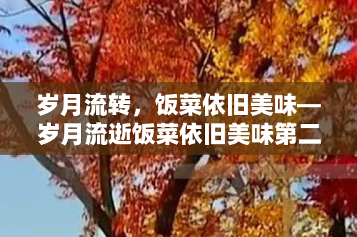 岁月流转，饭菜依旧美味—岁月流逝饭菜依旧美味第二卷封面与展开图揭晓