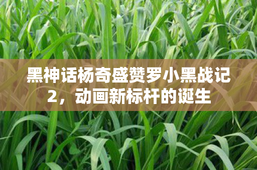 黑神话杨奇盛赞罗小黑战记2，动画新标杆的诞生