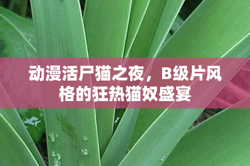 动漫活尸猫之夜，B级片风格的狂热猫奴盛宴