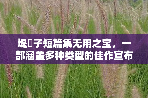 堤葎子短篇集无用之宝，一部涵盖多种类型的佳作宣布发行