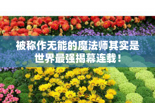 被称作无能的魔法师其实是世界最强揭幕连载！