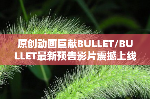 原创动画巨献BULLET/BULLET最新预告影片震撼上线