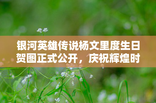 银河英雄传说杨文里度生日贺图正式公开，庆祝辉煌时刻
