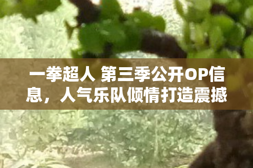 一拳超人 第三季公开OP信息，人气乐队倾情打造震撼开场曲