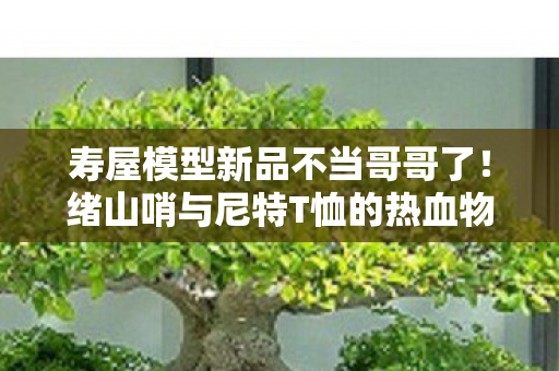寿屋模型新品不当哥哥了！绪山哨与尼特T恤的热血物语，开放预购启幕！