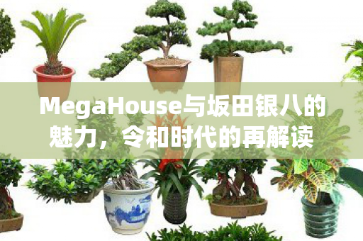 MegaHouse与坂田银八的魅力，令和时代的再解读