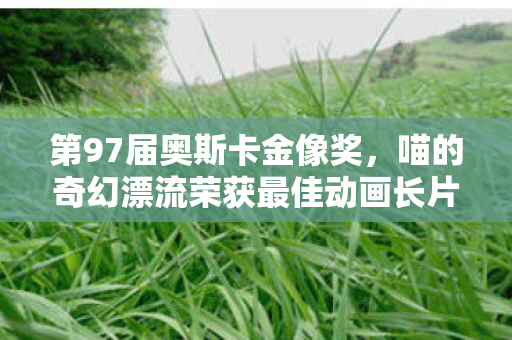 第97届奥斯卡金像奖，喵的奇幻漂流荣获最佳动画长片荣誉