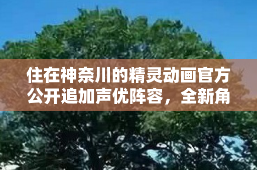 住在神奈川的精灵动画官方公开追加声优阵容，全新角色亮相备受期待！