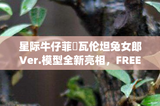 星际牛仔菲‧瓦伦坦兔女郎Ver.模型全新亮相，FREEing致敬经典之作