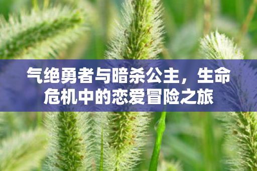 气绝勇者与暗杀公主，生命危机中的恋爱冒险之旅