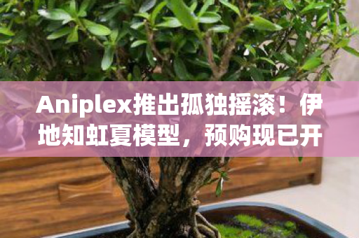 Aniplex推出孤独摇滚！伊地知虹夏模型，预购现已开启！