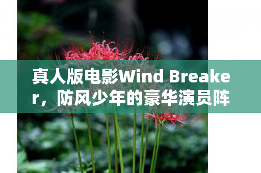 真人版电影Wind Breaker，防风少年的豪华演员阵容