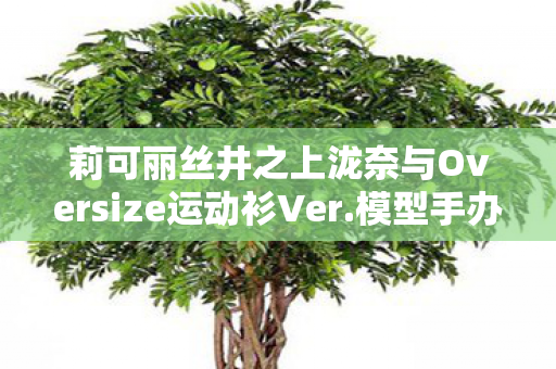 莉可丽丝井之上泷奈与Oversize运动衫Ver.模型手办—探索动漫与手办的魅力