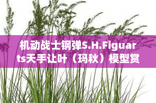 机动战士钢弹S.H.Figuarts天手让叶（玛秋）模型赏析