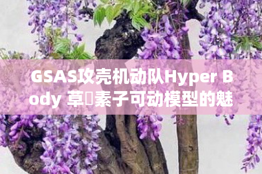 GSAS攻壳机动队Hyper Body 草薙素子可动模型的魅力与影响