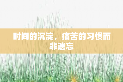 时间的沉淀，痛苦的习惯而非遗忘