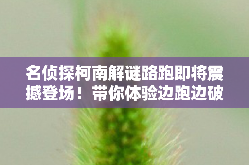 名侦探柯南解谜路跑即将震撼登场！带你体验边跑边破案的惊险之旅