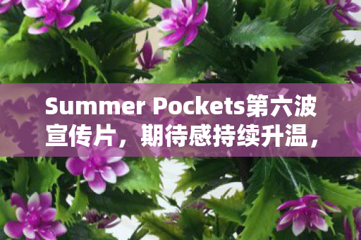 Summer Pockets第六波宣传片，期待感持续升温，热情燃烧盛夏