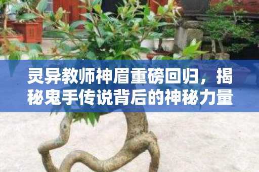 灵异教师神眉重磅回归，揭秘鬼手传说背后的神秘力量