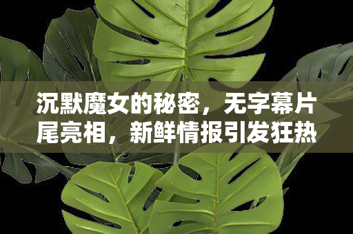 沉默魔女的秘密，无字幕片尾亮相，新鲜情报引发狂热讨论