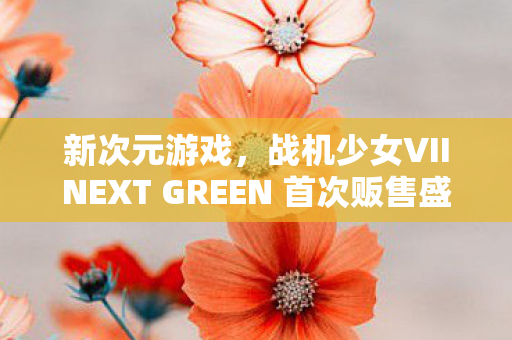 新次元游戏，战机少女VIINEXT GREEN 首次贩售盛况