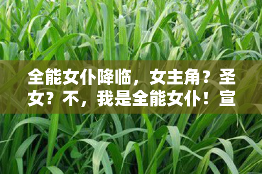 全能女仆降临，女主角？圣女？不，我是全能女仆！宣布动画化！