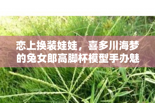 恋上换装娃娃，喜多川海梦的兔女郎高脚杯模型手办魅力