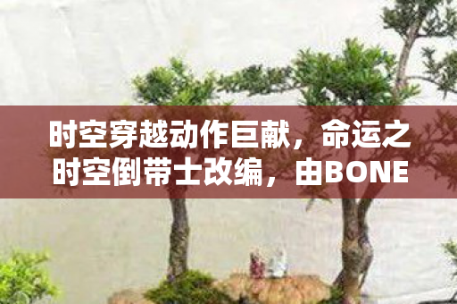 时空穿越动作巨献，命运之时空倒带士改编，由BONES倾力打造