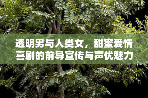 透明男与人类女，甜蜜爱情喜剧的前导宣传与声优魅力