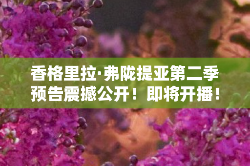 香格里拉·弗陇提亚第二季预告震撼公开！即将开播！