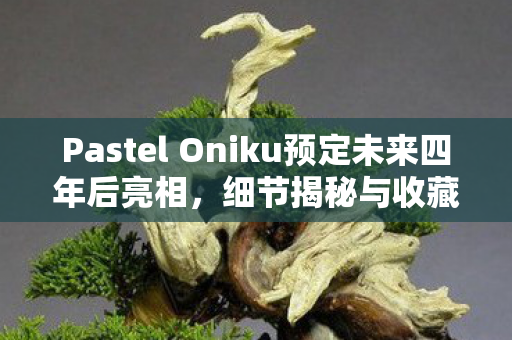 Pastel Oniku预定未来四年后亮相，细节揭秘与收藏潜力展望