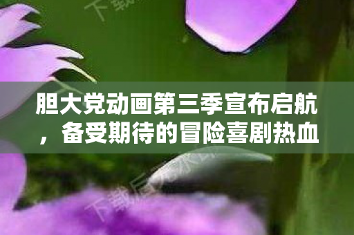 胆大党动画第三季宣布启航，备受期待的冒险喜剧热血回归