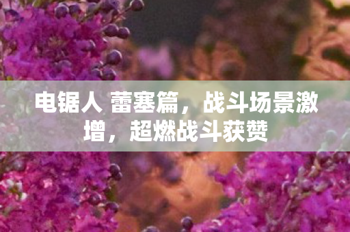 电锯人 蕾塞篇，战斗场景激增，超燃战斗获赞