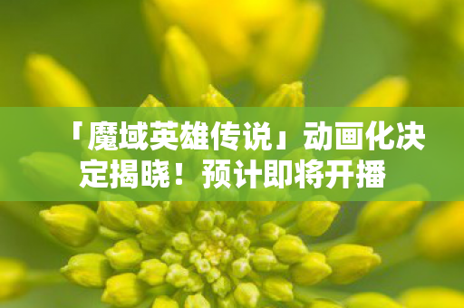 「魔域英雄传说」动画化决定揭晓！预计即将开播