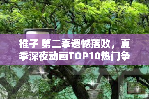 推子 第二季遗憾落败，夏季深夜动画TOP10热门争霸回顾