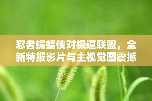 忍者蝙蝠侠对极道联盟，全新特报影片与主视觉图震撼发布