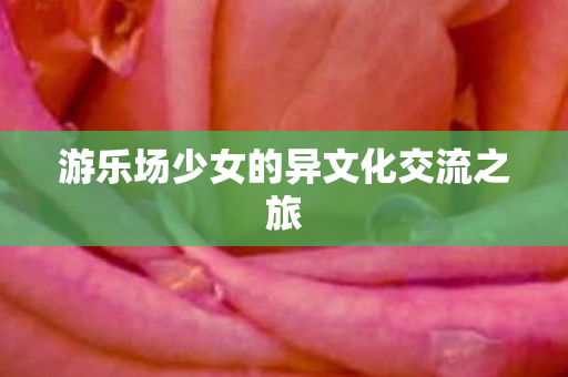 游乐场少女的异文化交流之旅