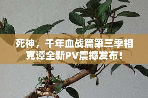 死神，千年血战篇第三季相克谭全新PV震撼发布！